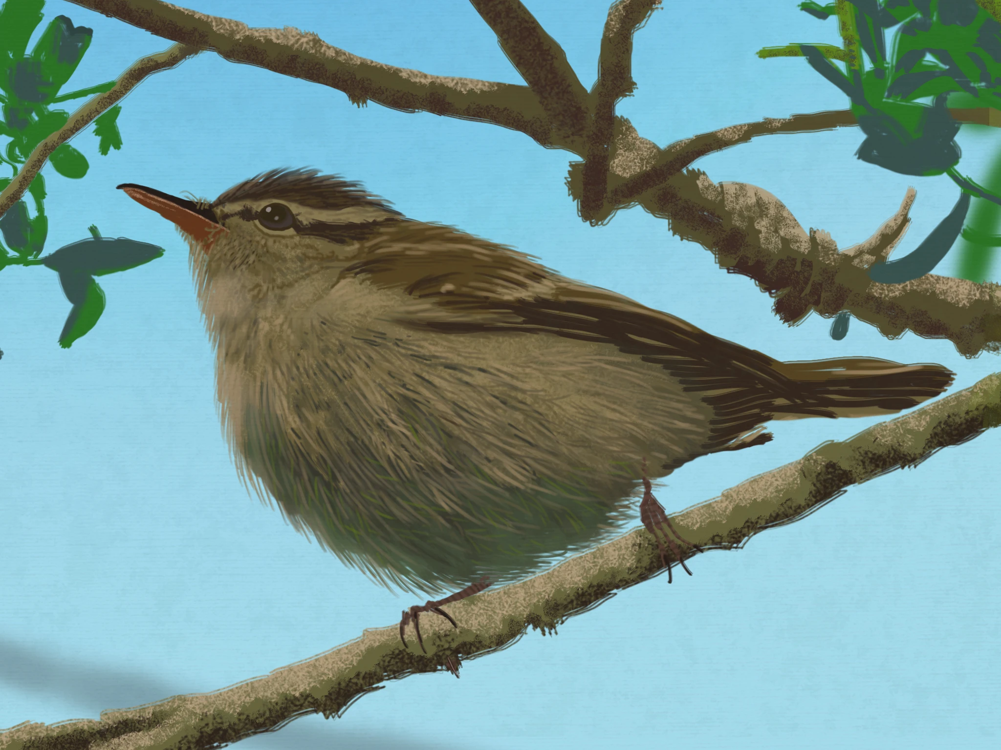 青空を背景に木の枝に止まっているクローズアップされた一羽の鶯のイラスト